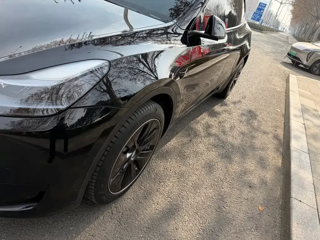 Tesla Model Y — фото 8