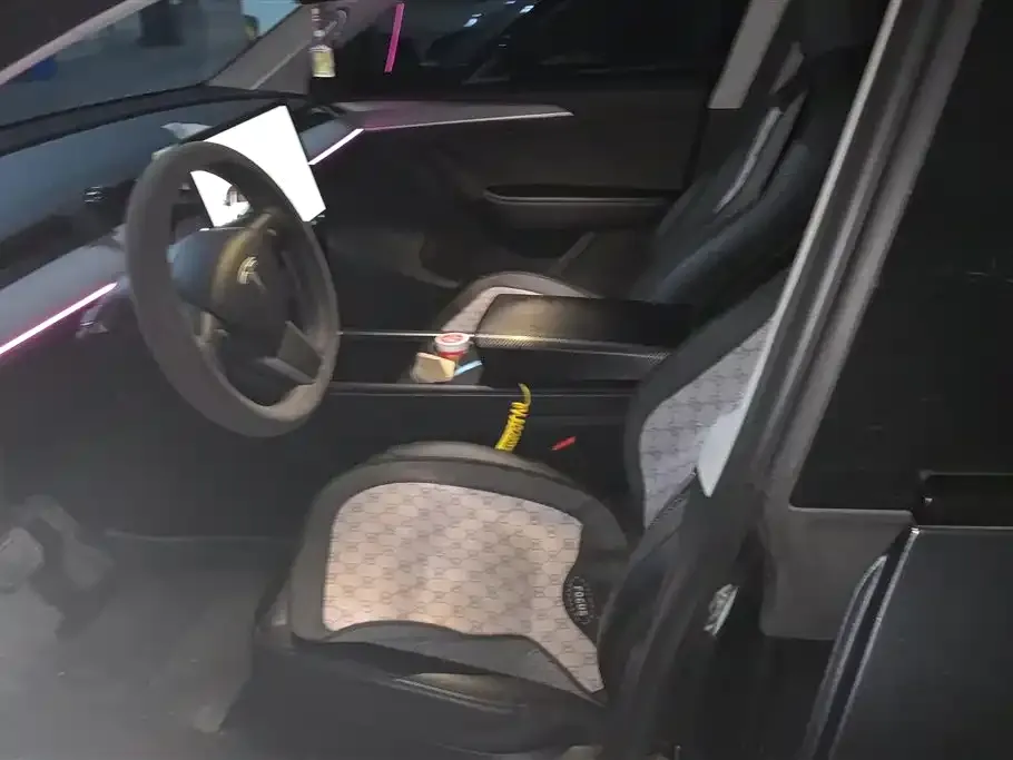 Tesla Model Y 2024 из CN, фото 6