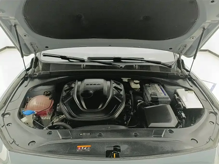 Geely Xingrui 2023 из CN, фото 10