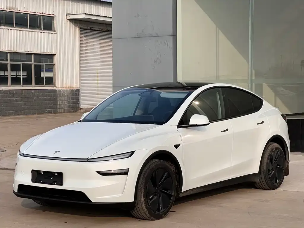 Tesla Model Y — фото 2