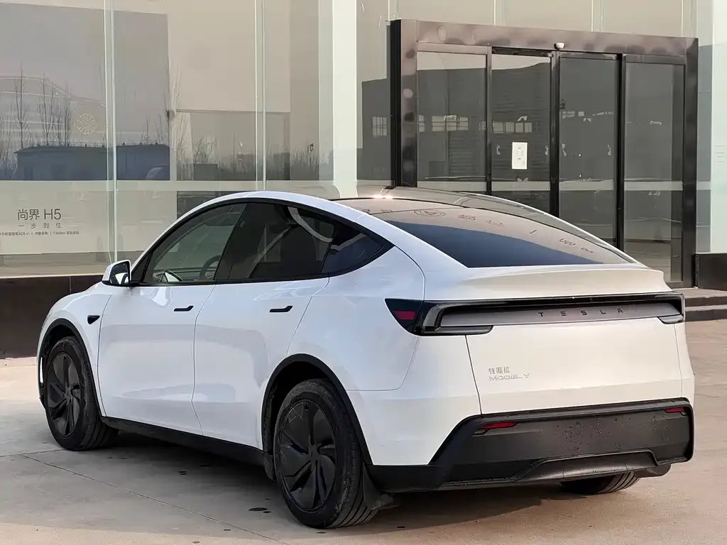 Tesla Model Y — фото 5