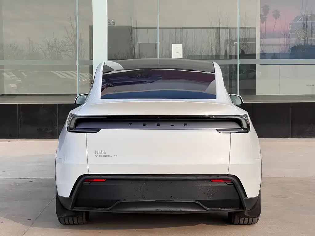 Tesla Model Y — фото 3