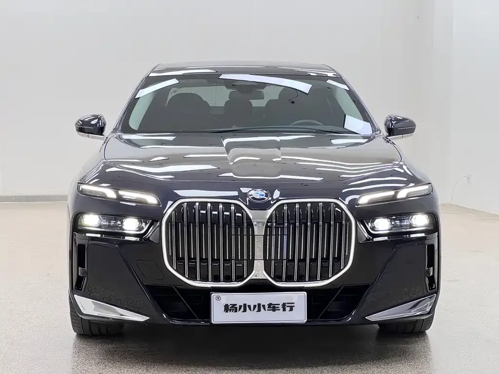BMW 7 Series 2023 из CN, фото 7