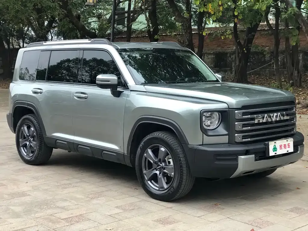 Haval Menglong New Energy 2023 из CN, фото 6