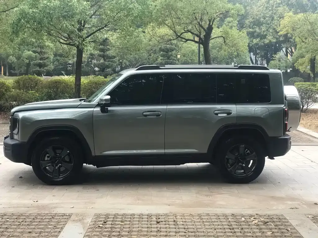 Haval Menglong New Energy 2023 из CN, фото 10