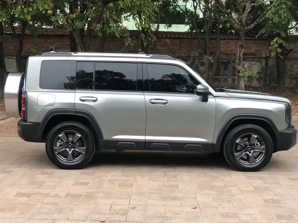 Haval Menglong New Energy 2023 из CN, фото 9