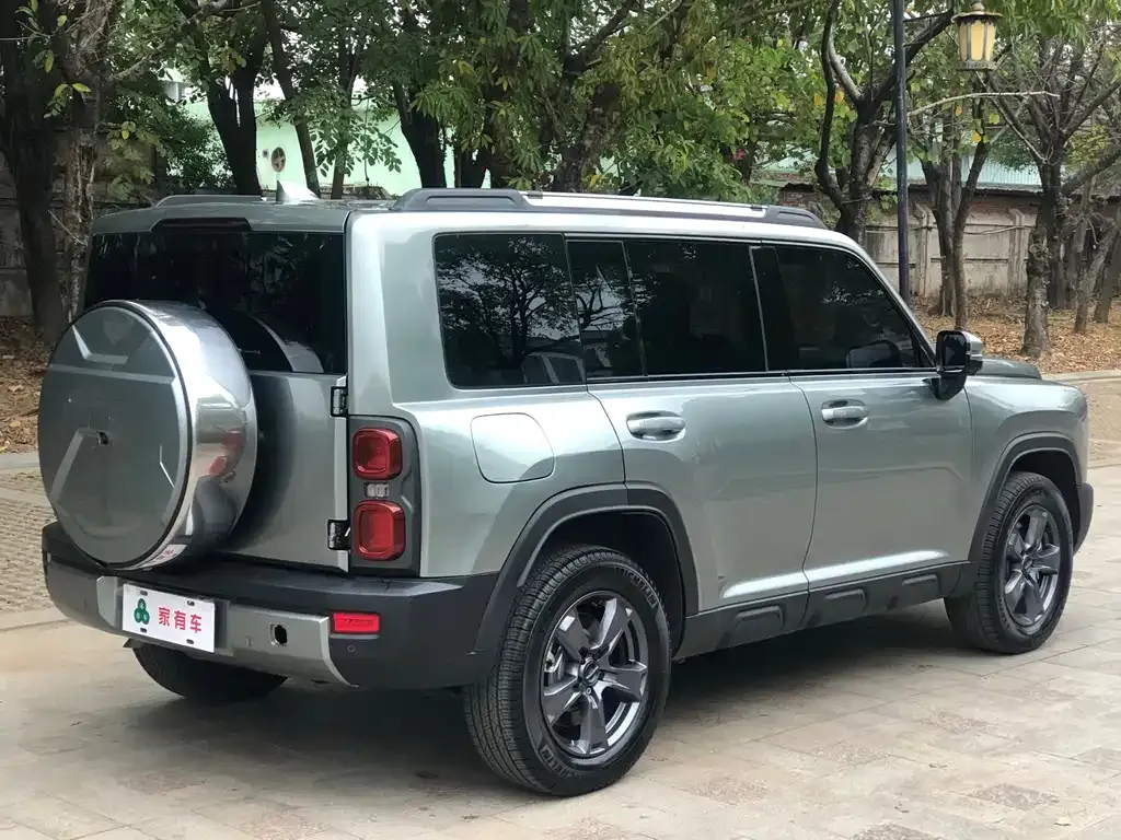 Haval Menglong New Energy 2023 из CN, фото 8