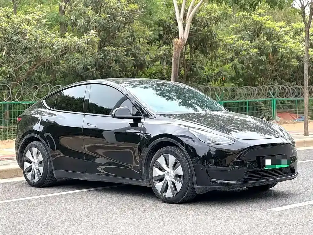 Tesla Model Y — фото 5