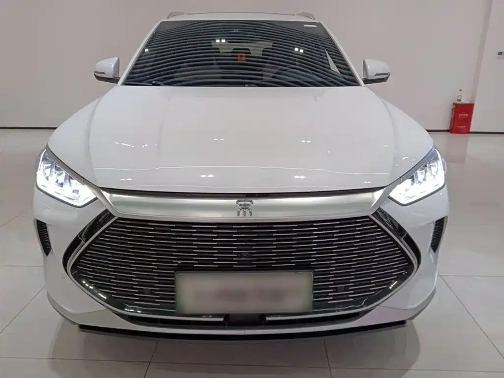 BYD PLUS New Energy — фото 4