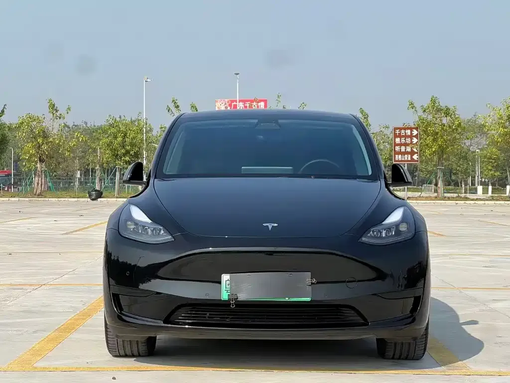 Tesla Model Y 2023 из CN, фото 9