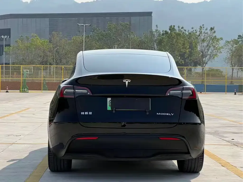 Tesla Model Y 2023 из CN, фото 3