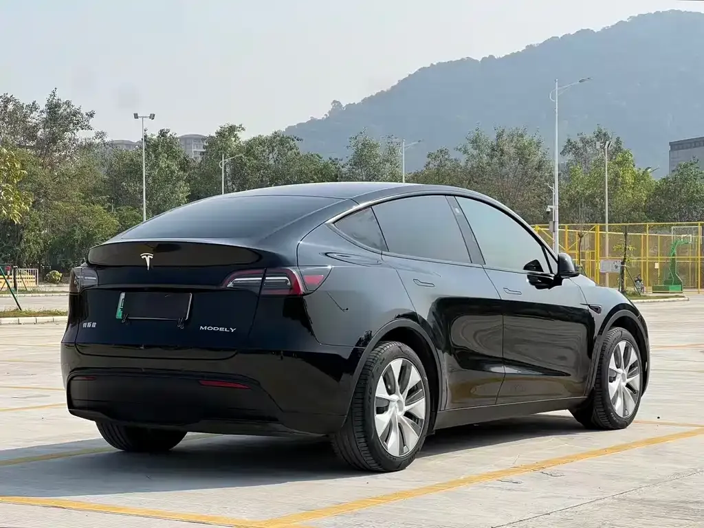 Tesla Model Y 2023 из CN, фото 4