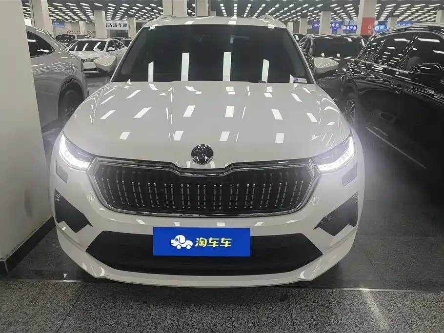 Skoda Kodiaq 2024 из CN, фото 5