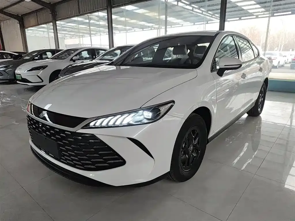 BYD Qin PLUS — фото 1