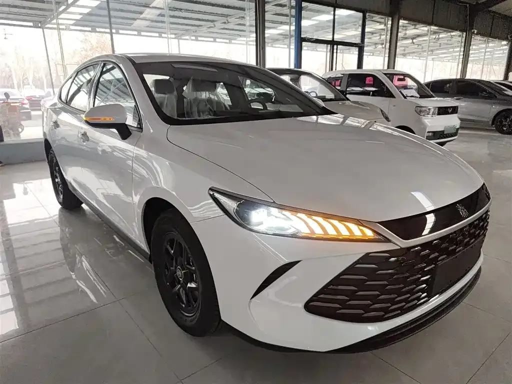 BYD Qin PLUS — фото 4