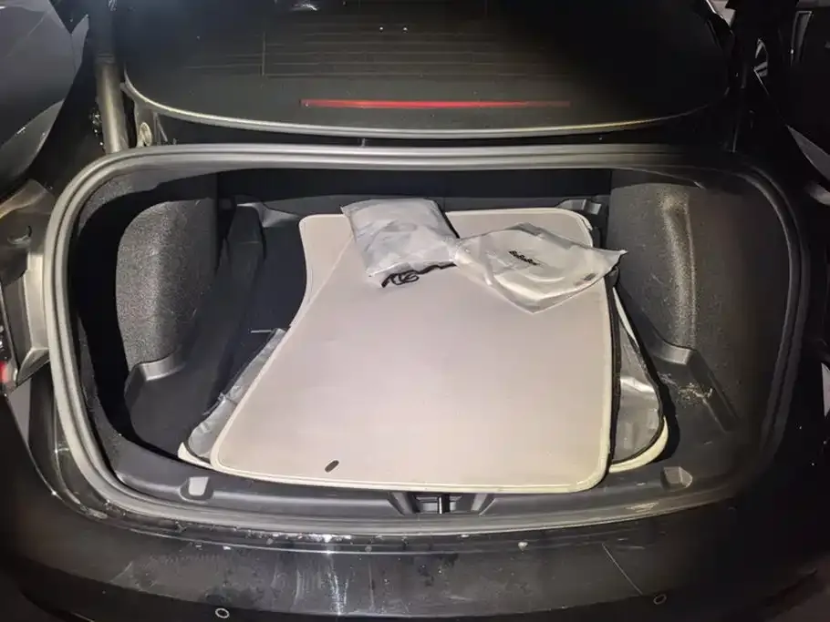 Tesla Model 3 2021 из CN, фото 3