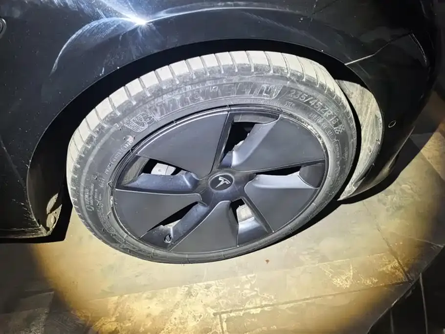 Tesla Model 3 2021 из CN, фото 4