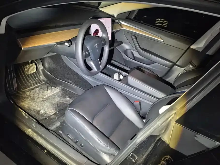 Tesla Model 3 2021 из CN, фото 5