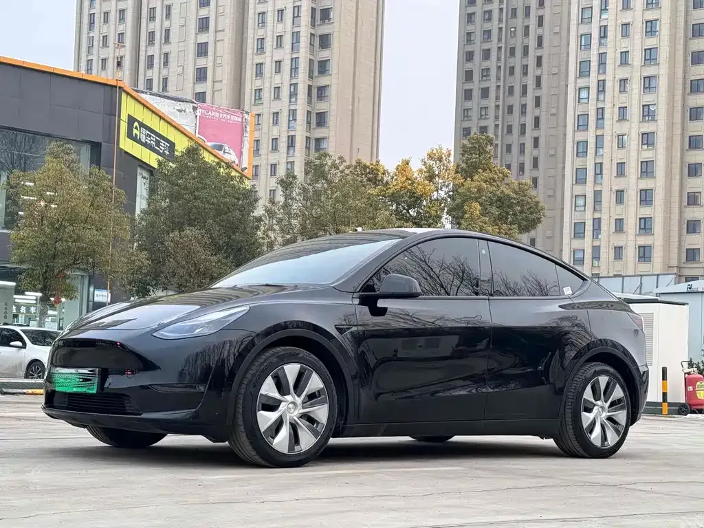 Tesla Model Y 2022 из CN, фото 1