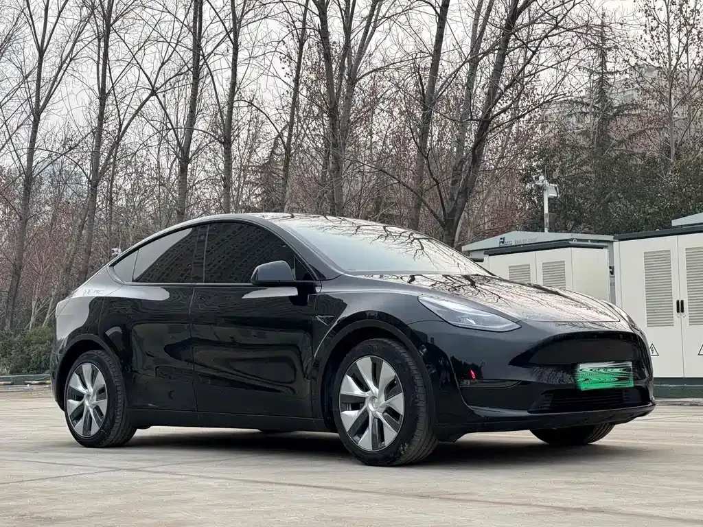 Tesla Model Y 2022 из CN, фото 7