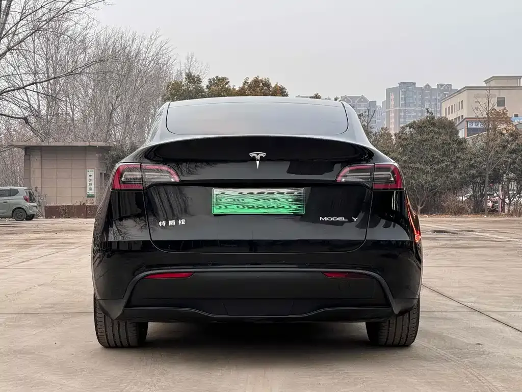 Tesla Model Y 2022 из CN, фото 6