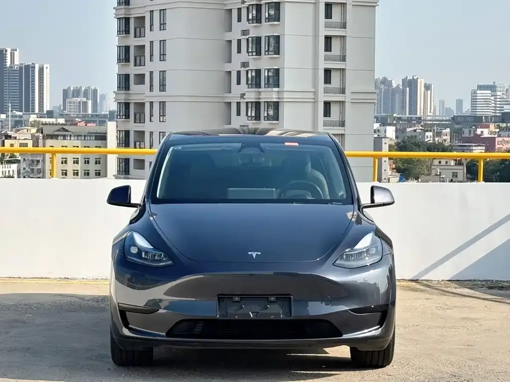 Tesla Model Y 2024 из CN, фото 6