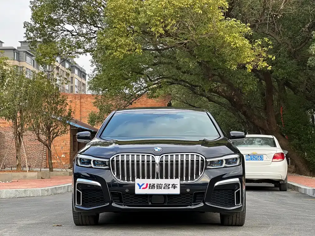 BMW 7 Series 2023 из CN, фото 6