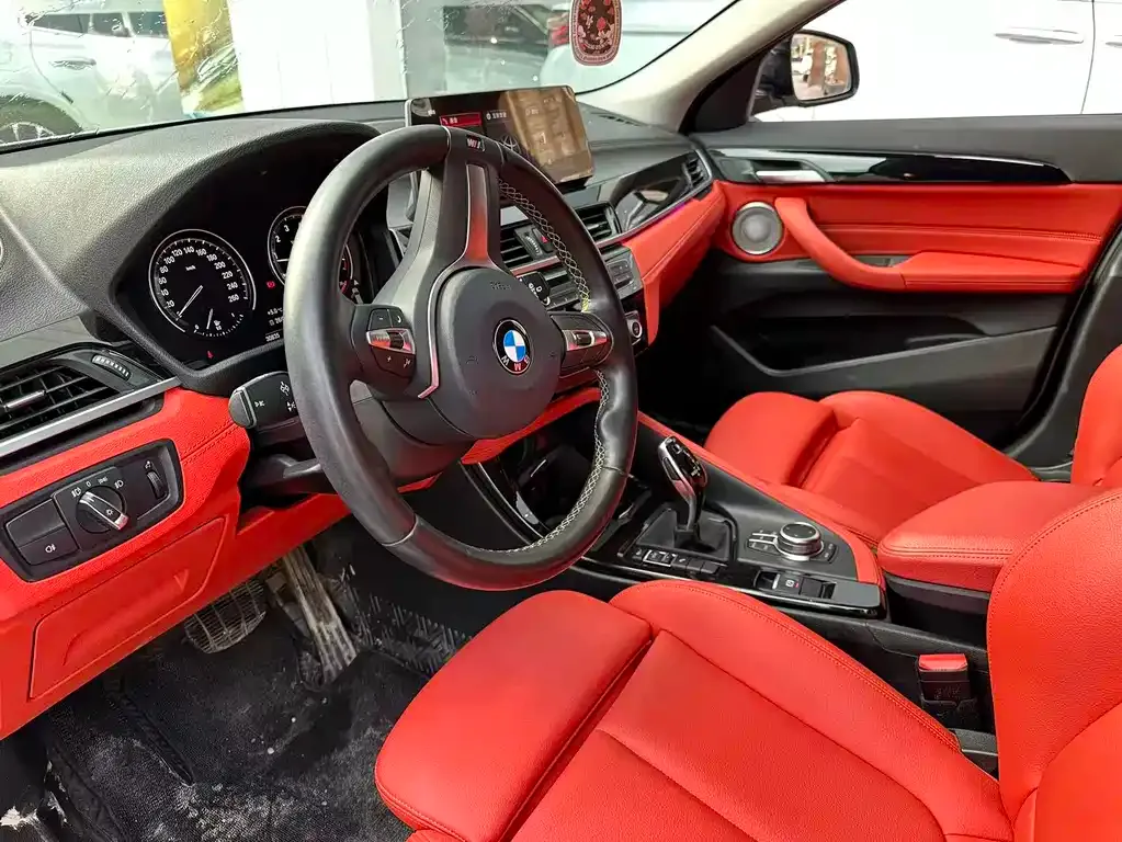 BMW X2 2023 из CN, фото 4