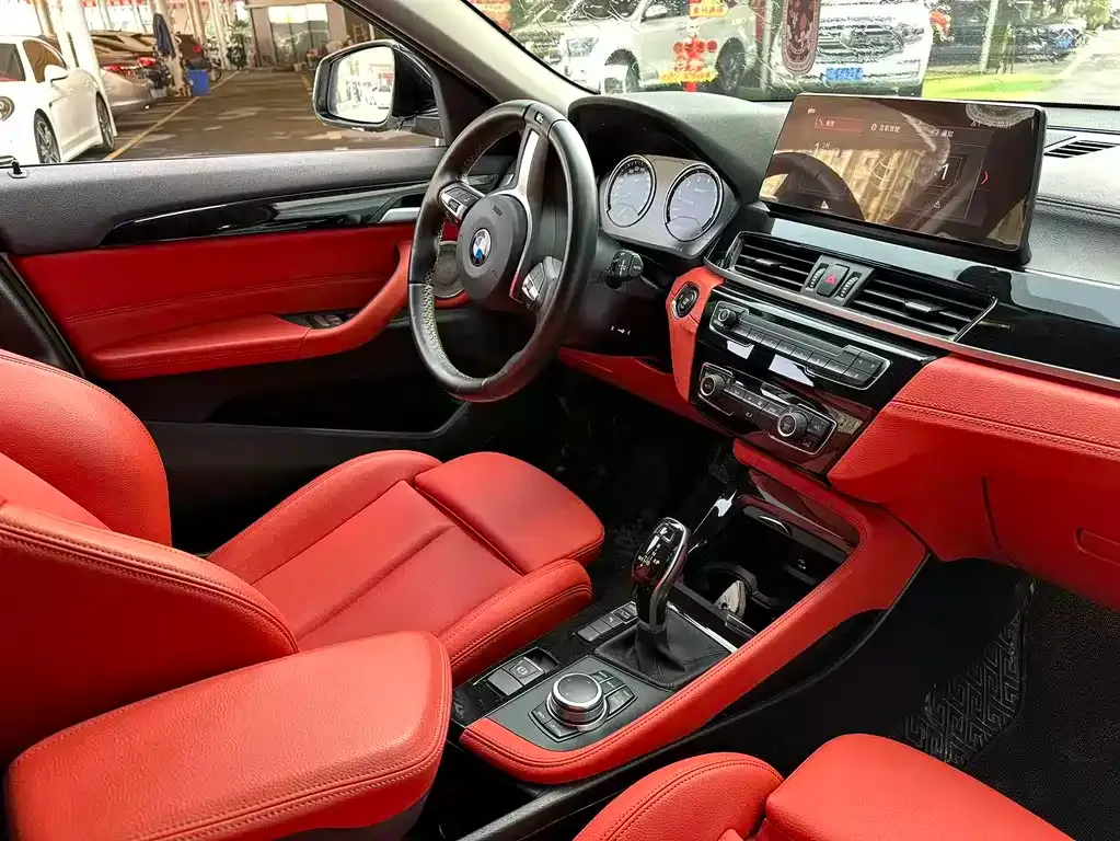 BMW X2 2023 из CN, фото 9