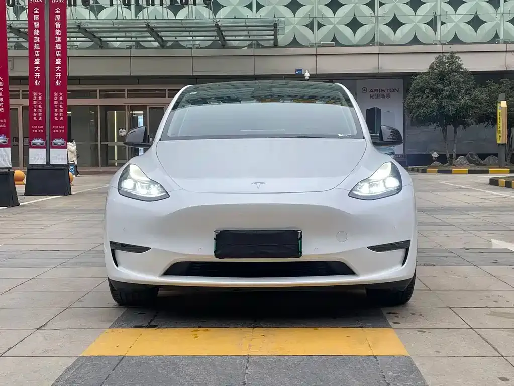 Tesla Model Y 2022 из CN, фото 1
