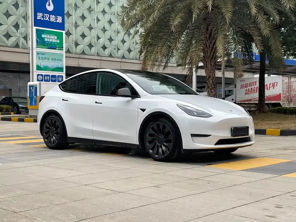 Tesla Model Y 2022 из CN, фото 8