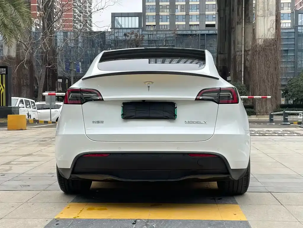 Tesla Model Y 2022 из CN, фото 3