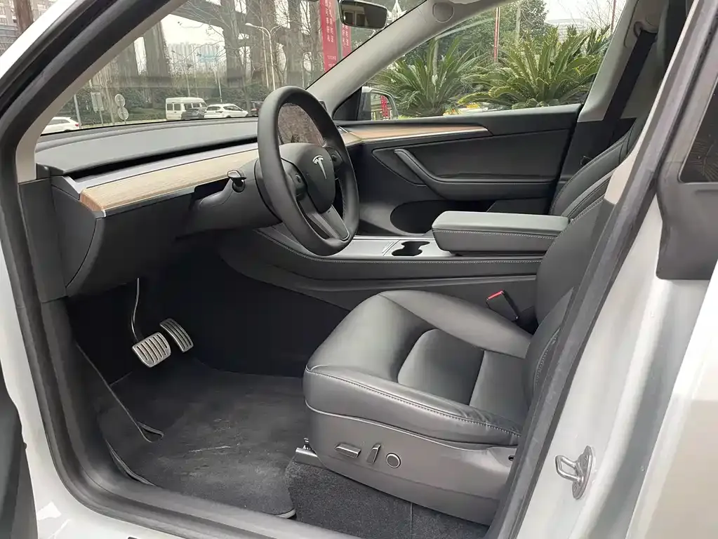 Tesla Model Y 2022 из CN, фото 2