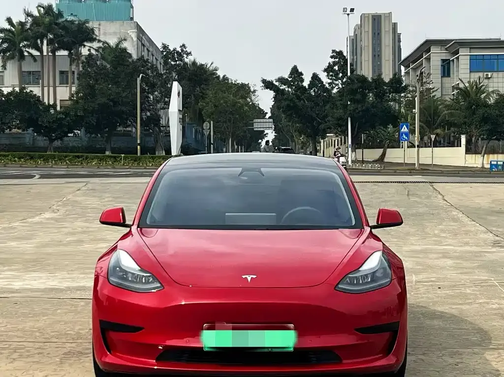 Tesla Model 3 2021 из CN, фото 5