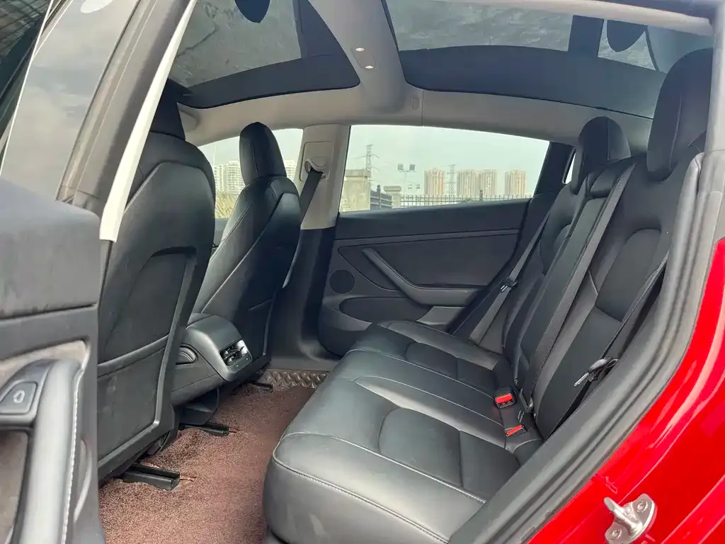 Tesla Model 3 2021 из CN, фото 4