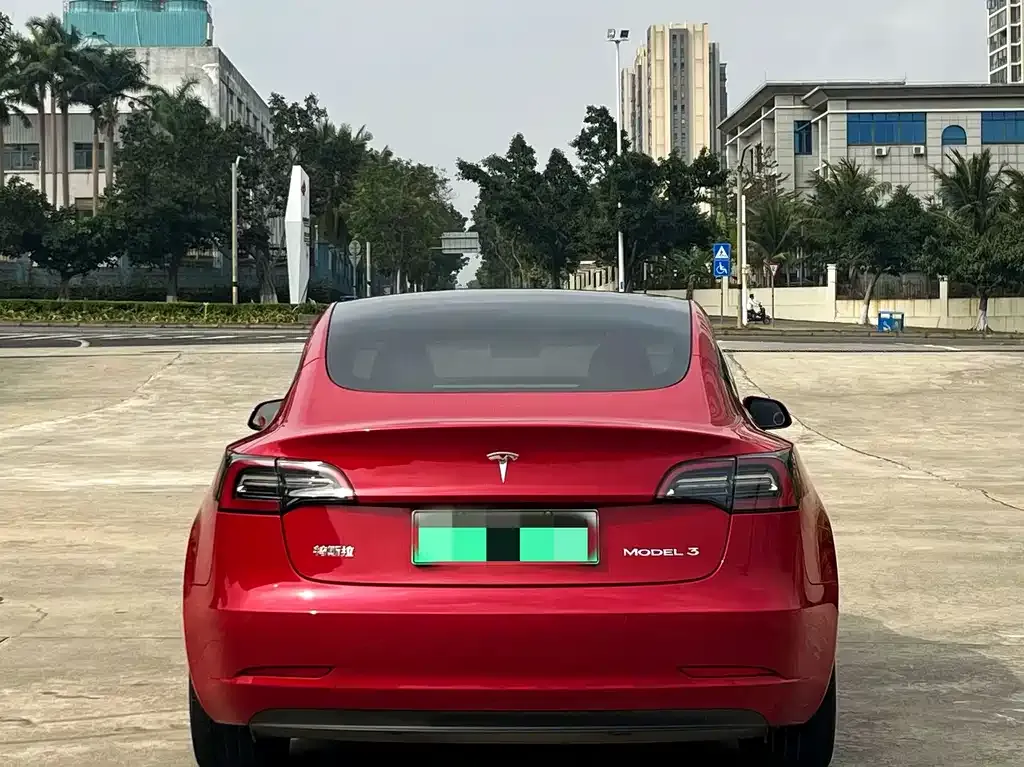Tesla Model 3 2021 из CN, фото 6