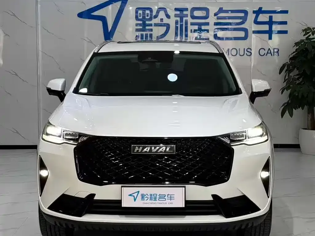 Haval H6 2023 из CN, фото 4