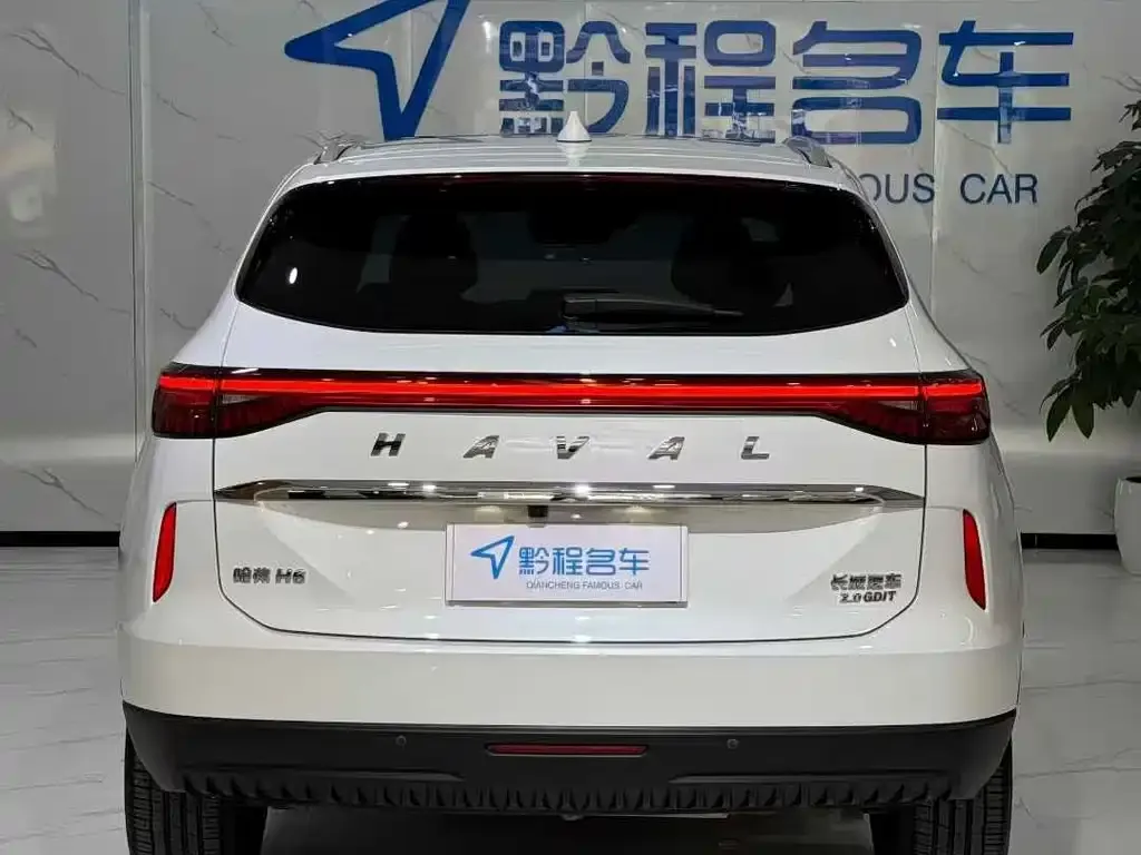 Haval H6 2023 из CN, фото 6