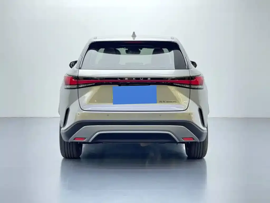Lexus RX 2024 из CN, фото 4