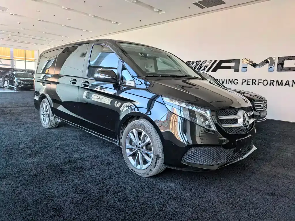 Mercedes-Benz V-Class 2024 из CN, фото 10