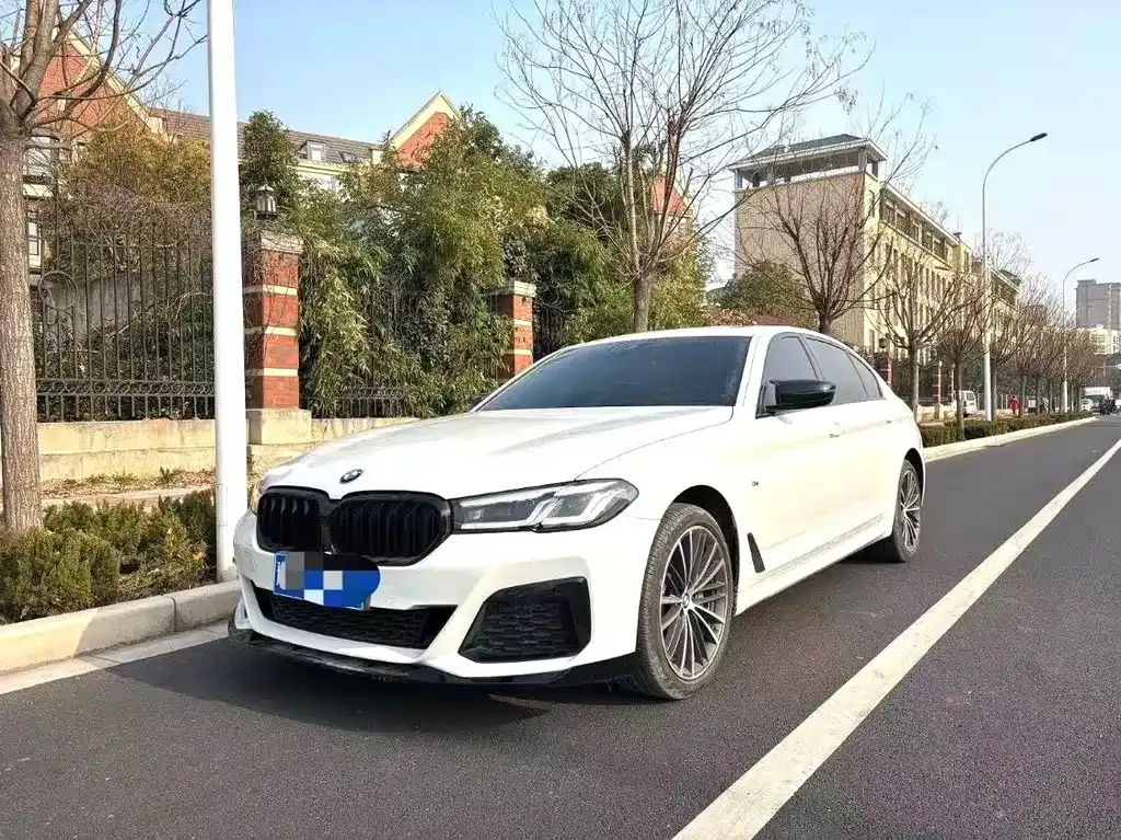 BMW 5 Series 2024 из CN, фото 1