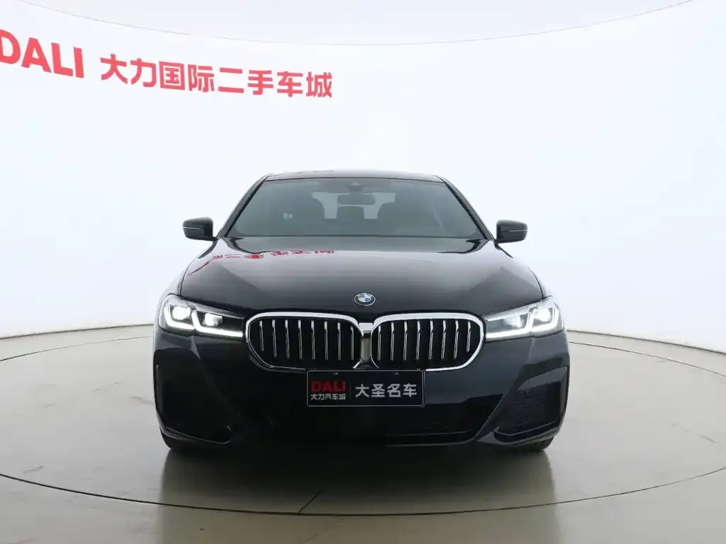 BMW 5 Series 2022 из CN, фото 4