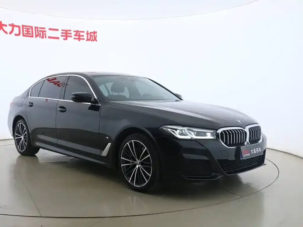 BMW 5 Series 2022 из CN, фото 9
