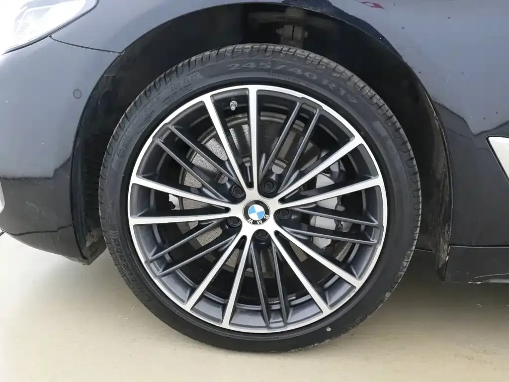 BMW 5 Series 2022 из CN, фото 8