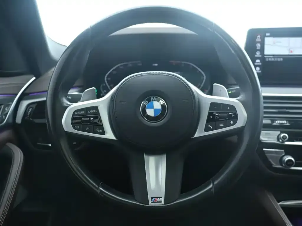 BMW 5 Series 2022 из CN, фото 6