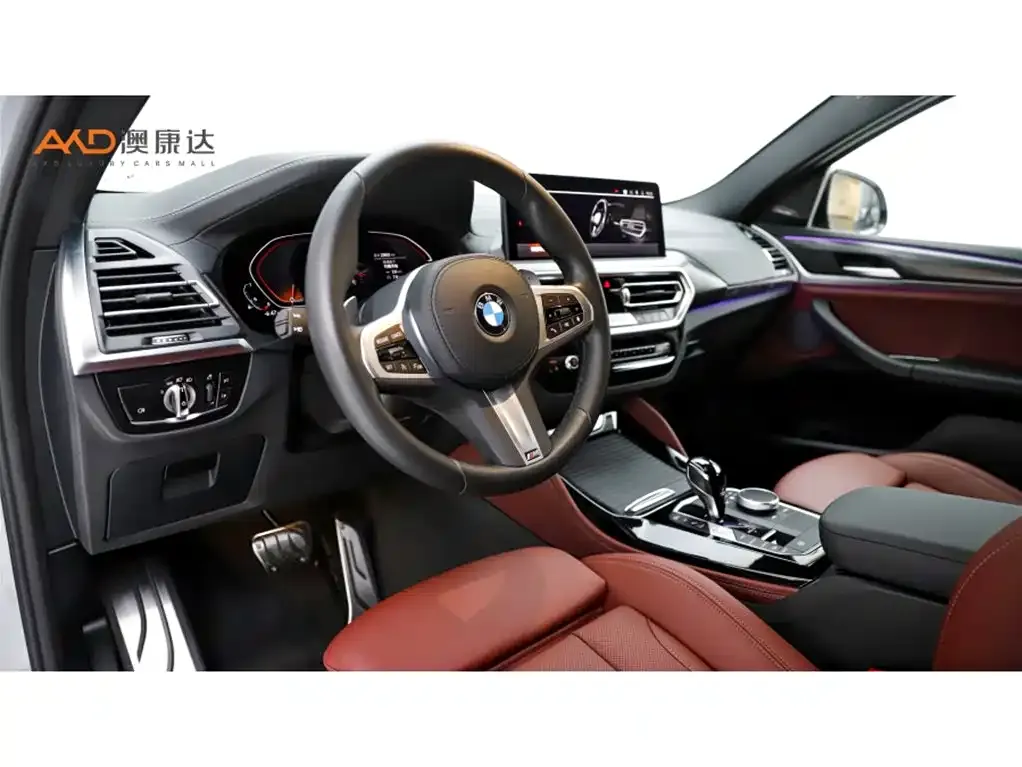 BMW X4 2024 из CN, фото 6