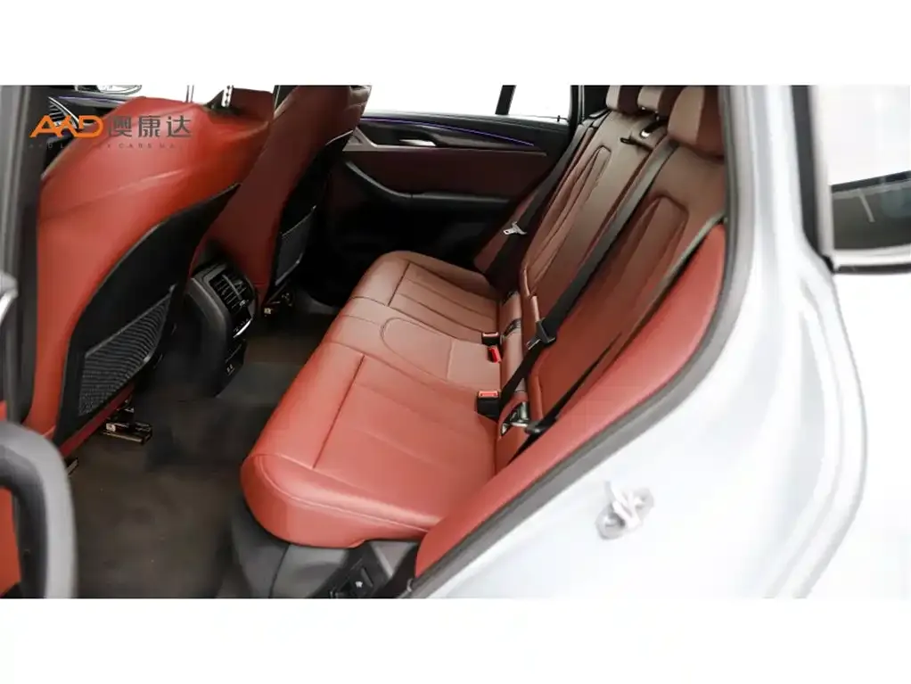 BMW X4 2024 из CN, фото 5