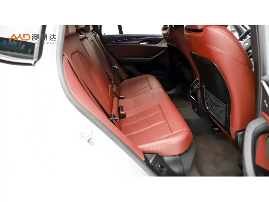 BMW X4 2024 из CN, фото 3