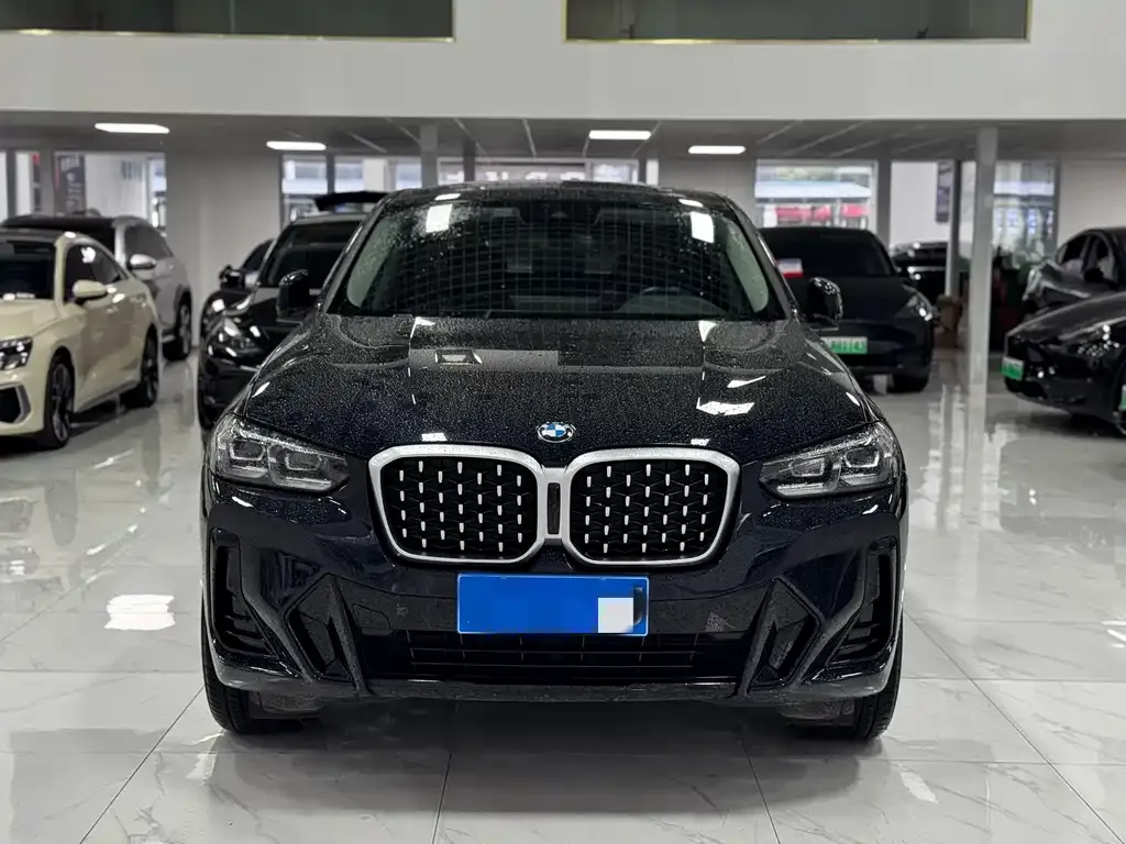 BMW X4 2023 из CN, фото 1