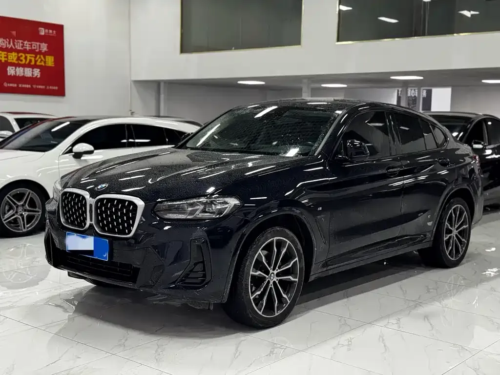 BMW X4 2023 из CN, фото 6